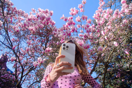 An unknown female taking selfies in front of a cherry blossom tree