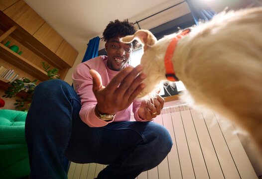Man Interacts With his dog