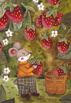 Little mouse picking strawberries in the field