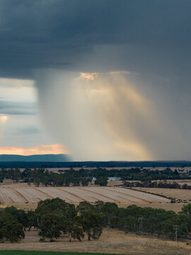 Heavy rain falling from dramatic storm clouds on farmland at sunset