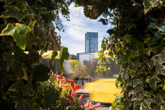 View of City Buildings Through Greenery in Daytime in Manchester