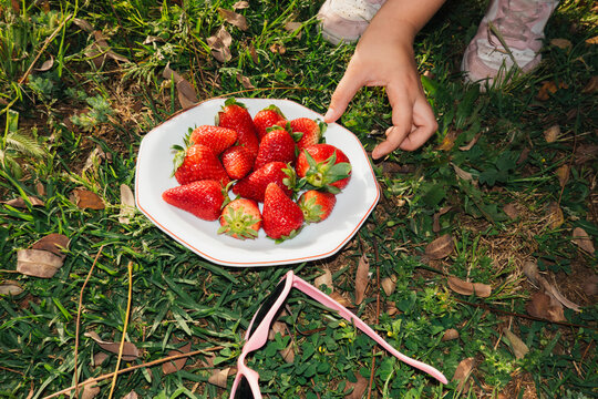 Hand holding strawberry with bowl of fruit outdoors
