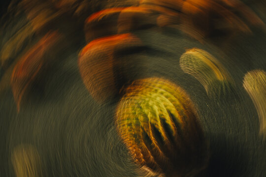 Swirling patterns of color create movement and depth in the design
