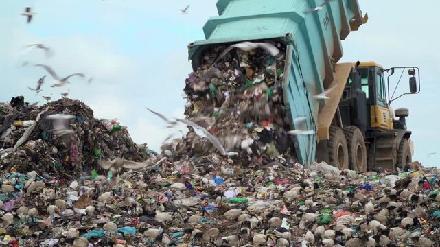 Truck dumping waste at a landfill with seagulls flying overhead outside