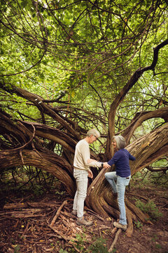 Senior Couple Climbing a Tree