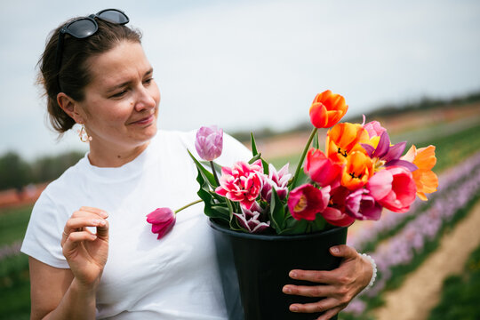 Woman examining tulips in bucket at flower farm