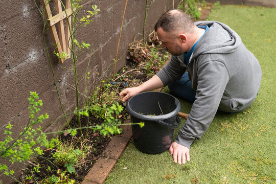 Man Works on Spring Gardening in Ireland by Planting New Seeds