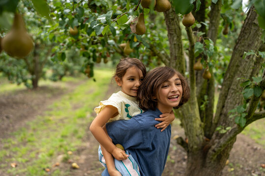 Playful piggyback moments in the apple orchard