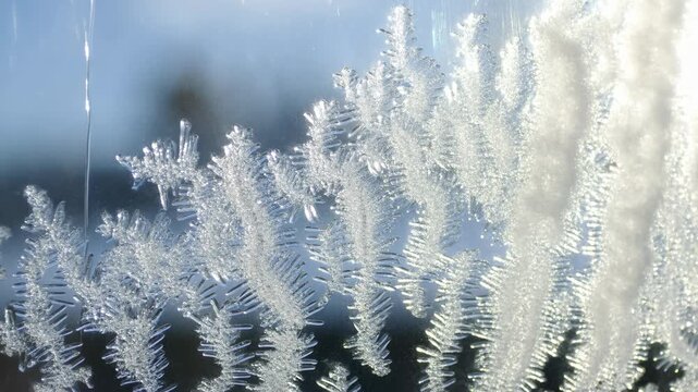 Timelapse of ice crystals growing on a window pane