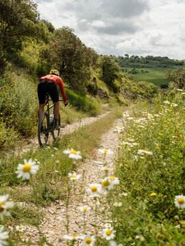 Gravel bike in spring