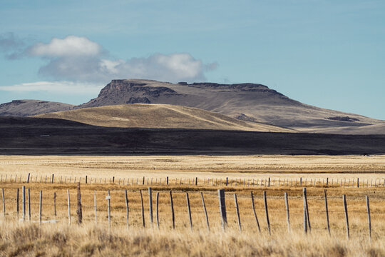 Patagonian Steppe