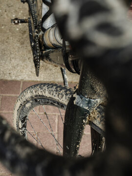Gravel bike in spring