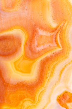 Orange Agate Macro  