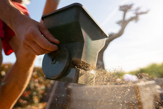 Close-up of hand using seed spreader
