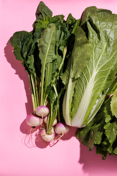 Turnip, Chinese cabbage and endive