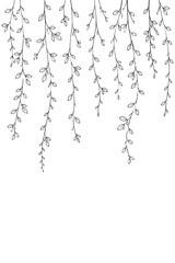 Naklejka premium Delicate tendrils of nature weave a serene tapestry, inviting tranquility into every space.