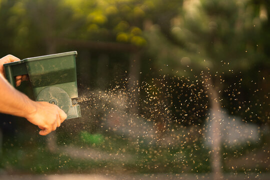 Close Up of Grass Seed Spreading