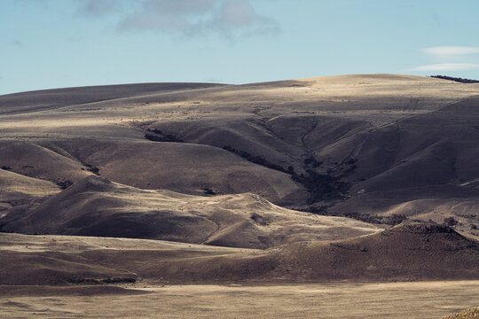 Steppe landscape nearly free of trees and little vegetation