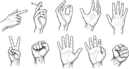 Fototapeta premium Vintage Human Hand Gestures Illustration Set Featuring Victory Sign OK Gesture Fist and Pointing Finger Engravings for Communication and Social Media Graphic Designs