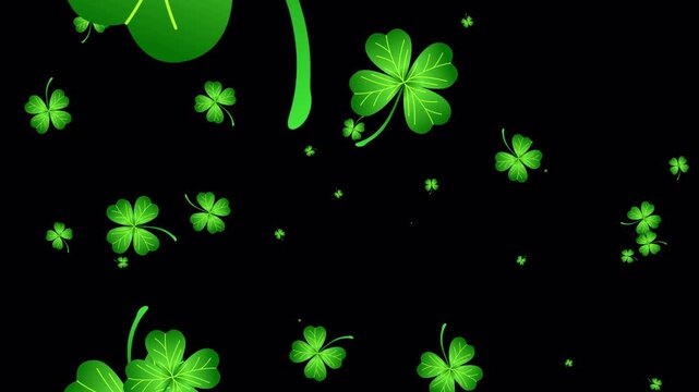 clover blossoms overlay shamrock falling footage with alpha channel. perfect for decoration greeting st. patricks day