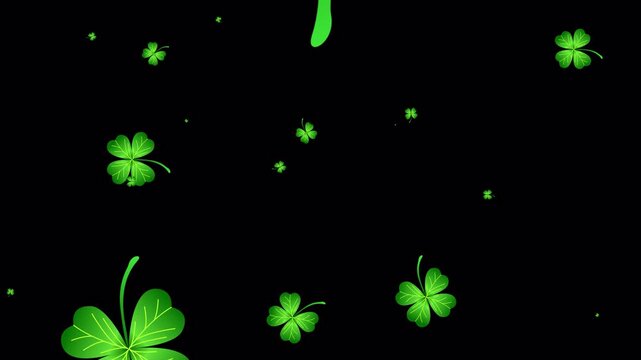 clovers particle and up animation combine alpha channel. Perfect for st. Patricks day designs, irish themed graphics, luckthemed promotions, and festive backgrounds for various projects. 