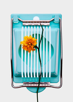 Flower in the slots