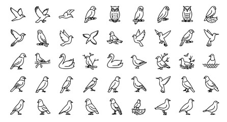 Fototapeta premium Birds Outline Vector Collection Flying Perched Wildlife Line Icon Set