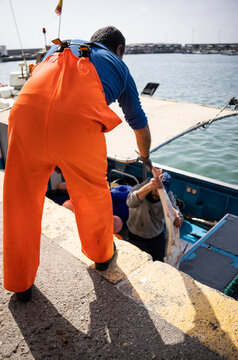 Fisherman Hands Over a Catch at the Dock Near the Sea