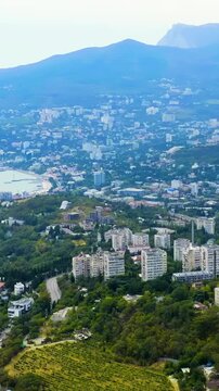 Vertical video. Yalta, Crimea. Panorama of the city in sunny weather. Embankment and port. Drone footage. Rich colors