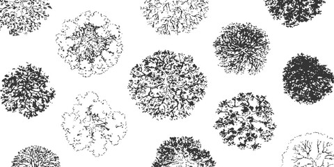 Top view tree sketch architectural landscape plan elements black and white silhouette vector illustration graphic design. © Artful
