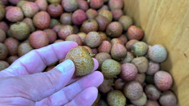 Slow motion footage of a customer's hand selecting a ripe lychee from a wooden crate at a grocery store or farmer's market