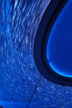 blue water ripple