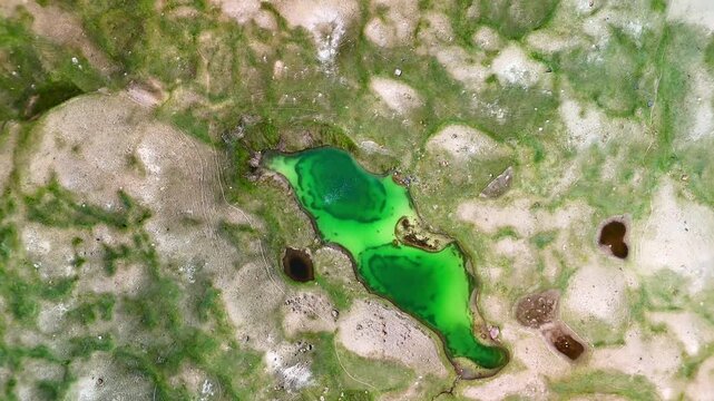 Aerial view of the bright green Tulpar Lake surrounded by rocky terrain and small ponds in Alay District, Osh Region, Kyrgyzstan.