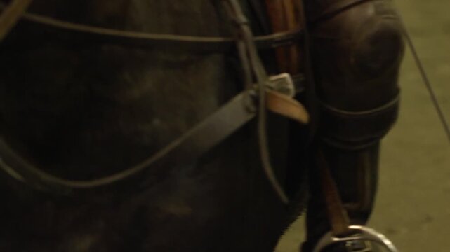 Cowboy boots in stirrups on a horse