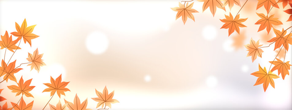 Autumn background banner with orange maple leaves branches on a soft blurred bokeh background with copy space