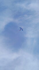 Obraz premium Kites flying in the blue sky