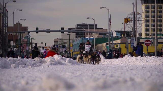 Sled dog team starting the iditarod trail