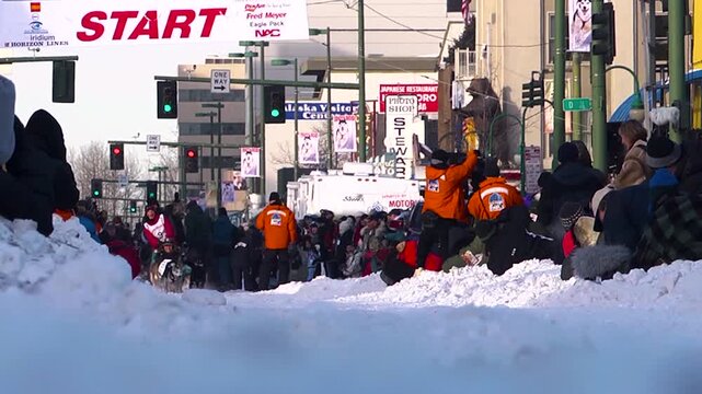 Sled dog team racing through Alaska