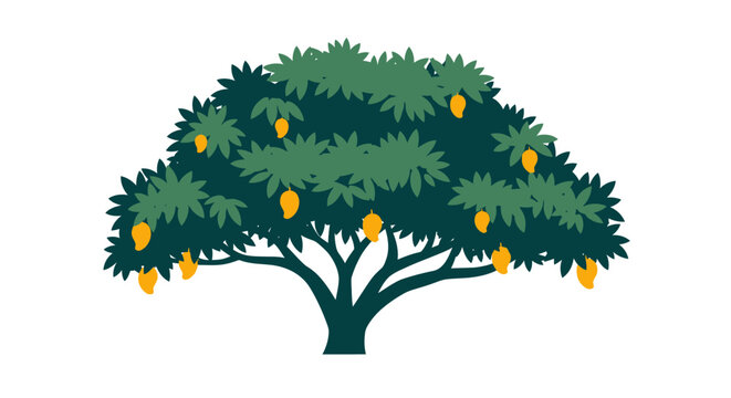 Illustration of lush mango tree with ripe fruits hanging.
