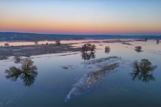 Aerial view, drone photo: Winter floods, trees and flooded meadows in the floodplains along the river Oder, G&uuml;stebieser Loose, Oderbruch, Brandenburg, Germany