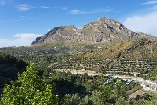 Majestic mountains and green landscape with scattered houses and trees under a clear blue sky, Alto de la Serrezuela mountain, near Bedmar y Garc&iacute;ez, Bedmar y Garciez, Sierra M&aacute;gina Natural Park, Ja&eacute;n province, Jaen, Andalusia, Spain