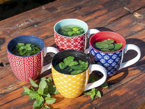 Fresh mint tea in colourful cups, peppermint, Germany