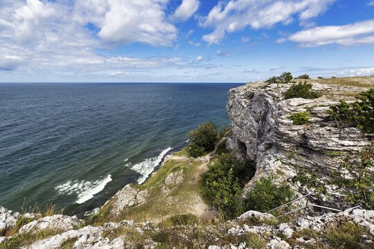 Cliff coast H&ouml;gklint in summer, reef limestone, Visby, west coast, Gotland Island, Sweden