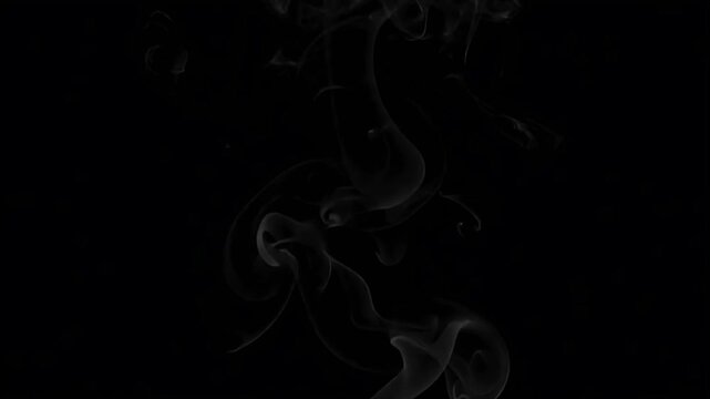 Smoke motion footage featuring swirling white ethereal plumes rising gracefully against a deep black background for professional artistic video projects