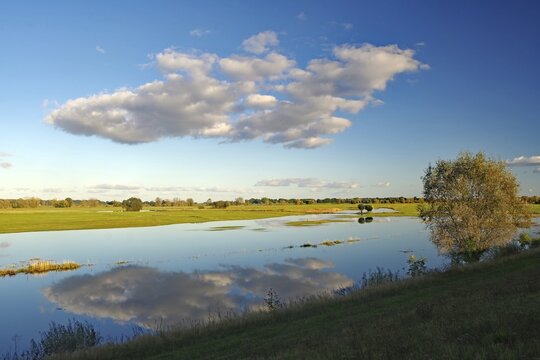 Flooded Elbe meadows reflect the clouds in the blue sky in the middle of a vast landscape, autumn, Elbe, Langendorf, Wendland, Lower Saxony, Germany