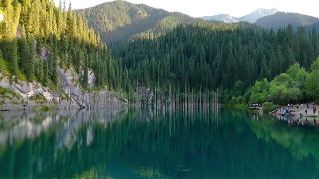 Aerial view of Kaindy Lake with sunken spruce trees and turquoise water surrounded by dense pine forests on mountain slopes in Kaindy, Almaty Region, Kazakhstan.