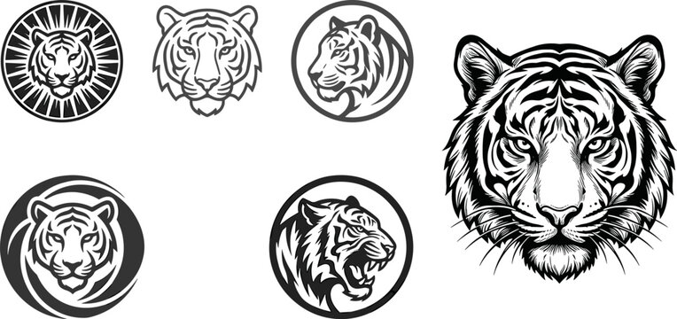 Tiger face and head badge icon set featuring detailed predatory wildcat illustrations for sports mascots and branding design