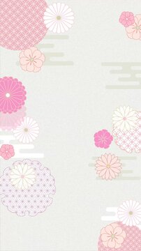 Loopable Japanese traditional pattern background with gentle spring pink chrysanthemums and hemp leaf frame, 4K vertical video.
