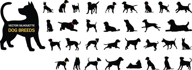 Black vector silhouettes set of different dog breeds in various poses like standing, sitting, and running, isolated on white background © Mst
