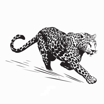 Powerful Running Leopard Vector Illustration On White Background